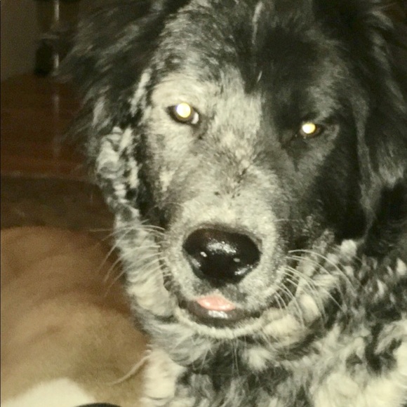 Meet your Posher, Grant - Picture 3 of 3